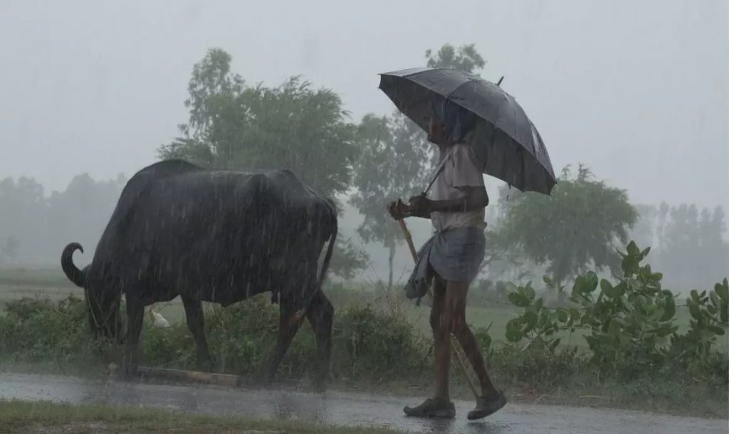 NORMAL Rains in 2022: prediction by IMD