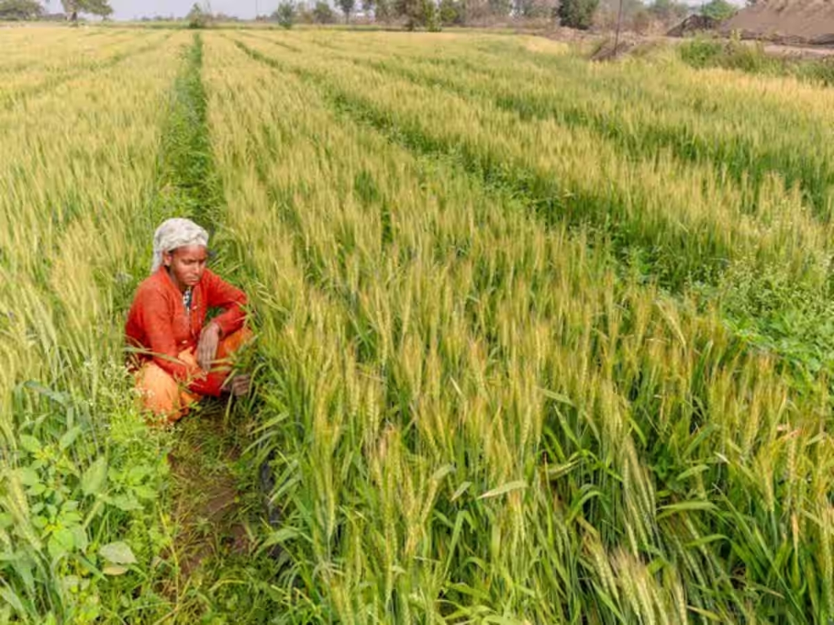 MSP for Kharif Crops announced for 2026-27 https://newsgate.press/