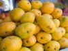 Nepal says, ‘No Problems with Indian Mangoes’ https://newsgate.press/